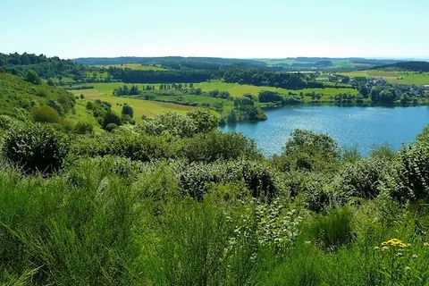 Blick über Wiesen und Wald auf einen See in der Eifel