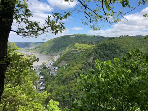 Blick auf die Mosel mit Weinbergen in Steillage
