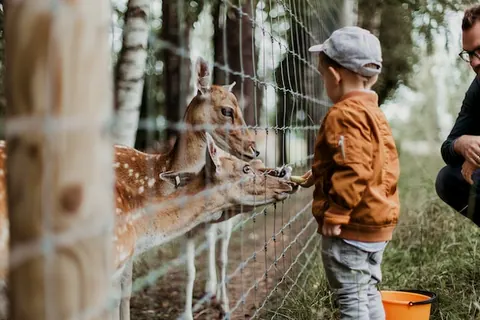 Zoo Neuwied: Infos, Tickets und Preise in der Eifel